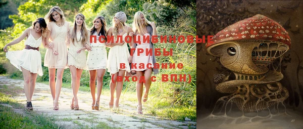 мет Верхний Тагил