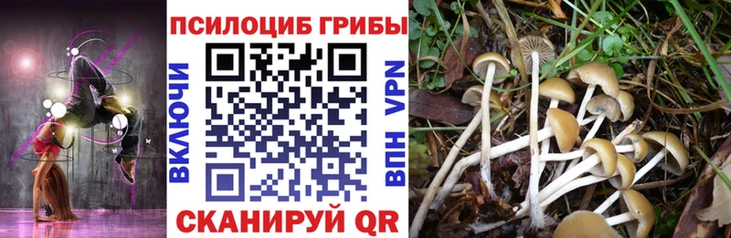 Псилоцибиновые грибы MAGIC MUSHROOMS  Купить где  Нолинск 